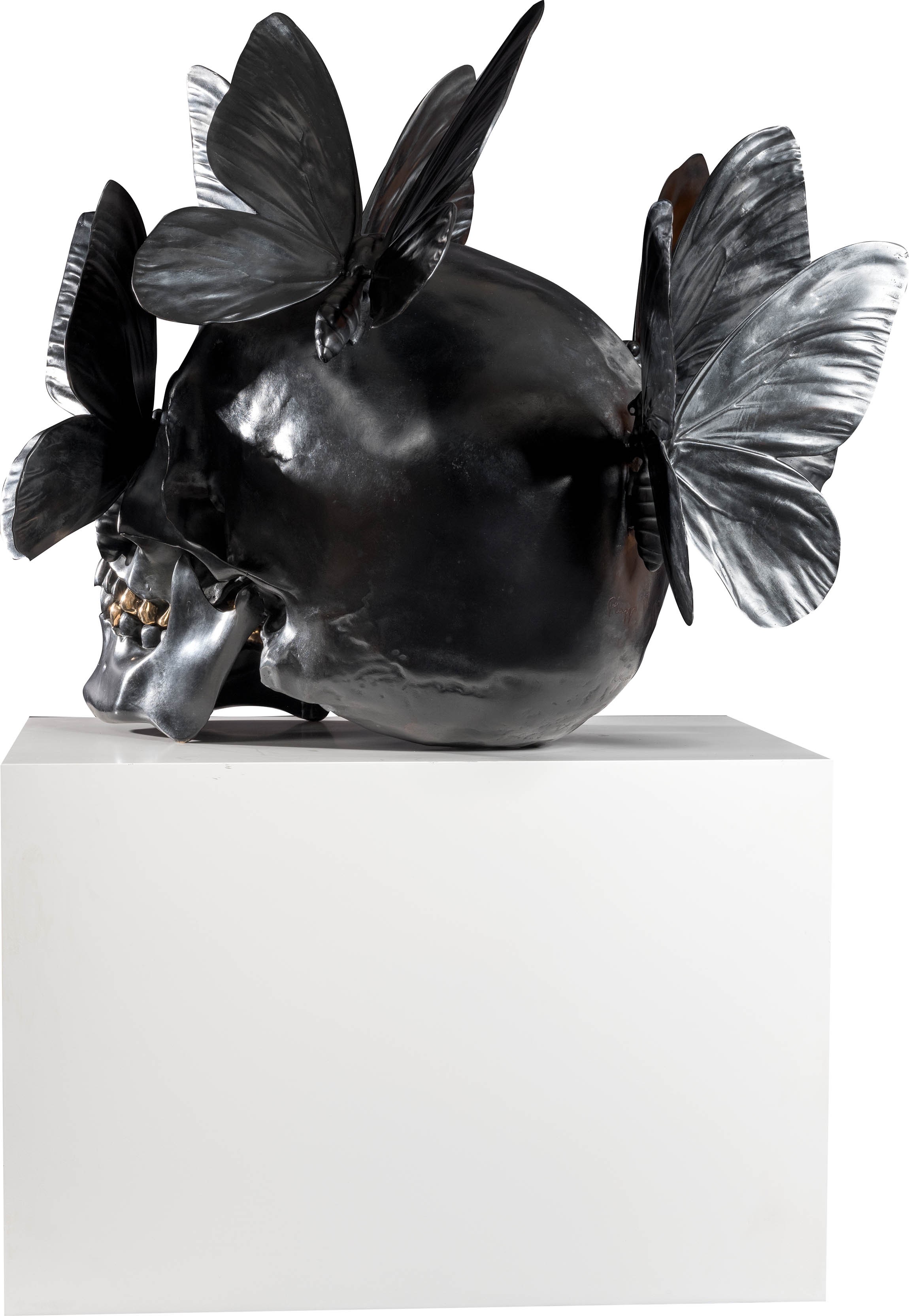 Vanité aux papillons